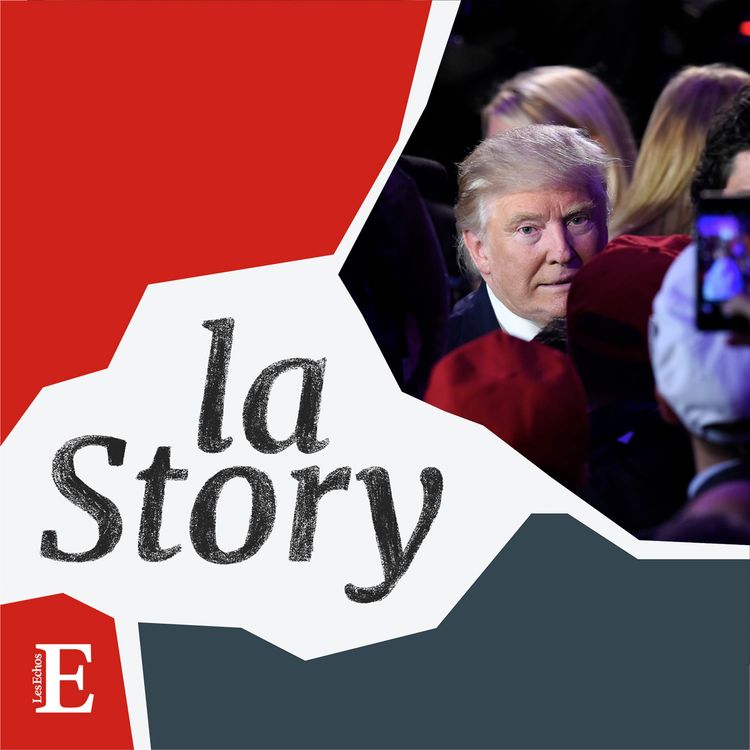 cover art for Trump 2016 : le président qu'on n'a pas vu venir