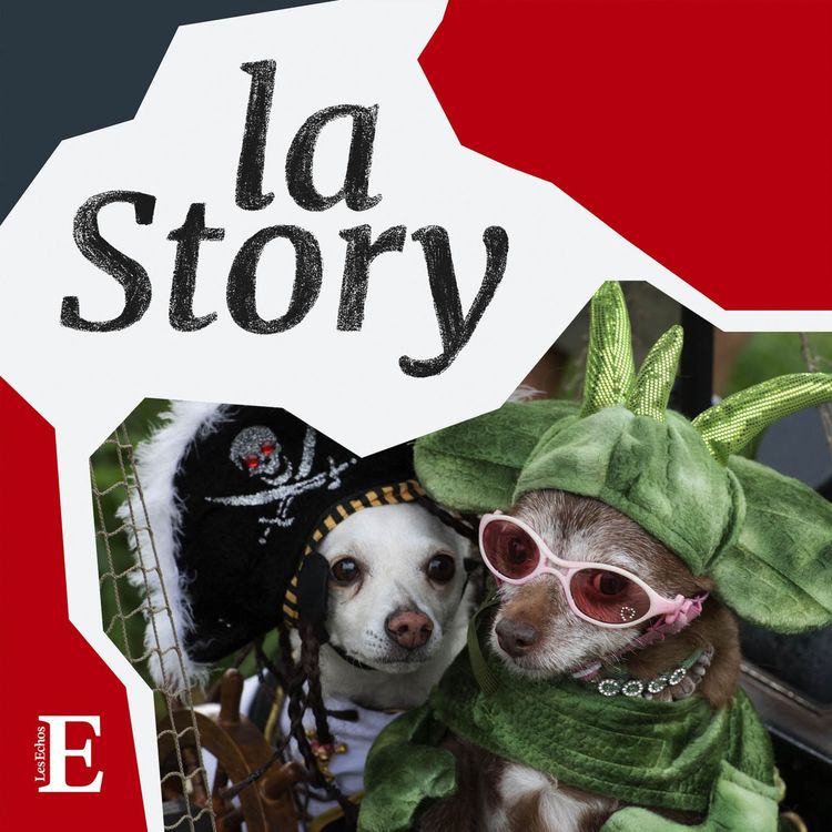 cover art for Jamais sans mon chien !