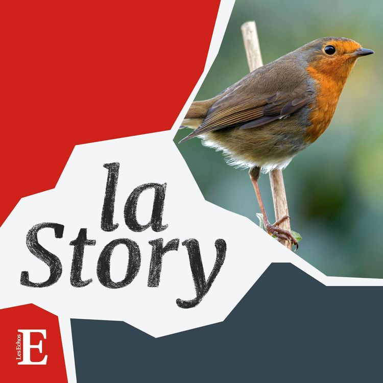 cover art for Où sont passés les oiseaux ?