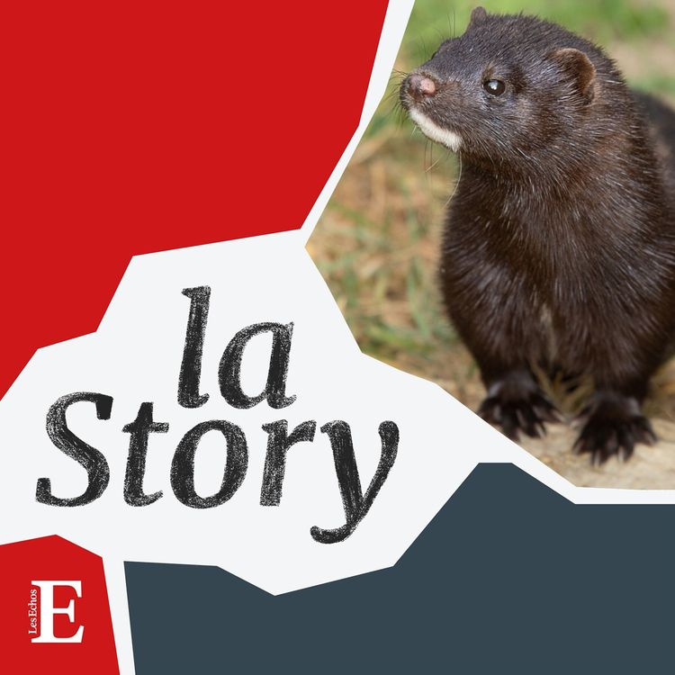 cover art for Pourquoi il faut réensauvager la planète