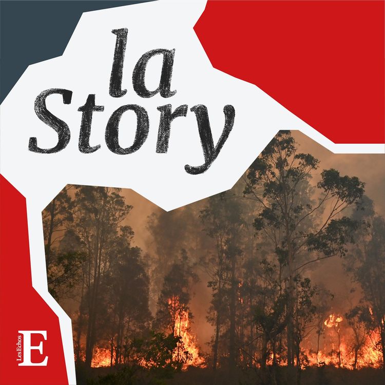 cover art for Environnement : il n’y a plus une minute à perdre