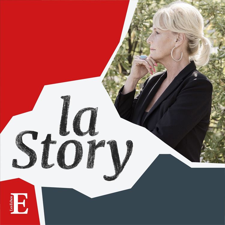 cover art for Erin Brockovich, la femme qui ne baisse jamais les bras