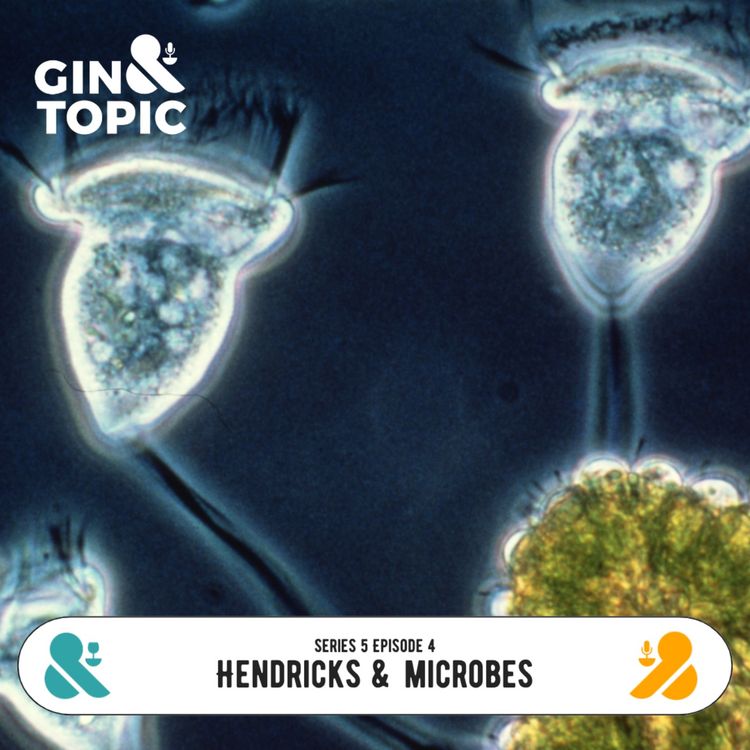 cover art for Hendricks & Microbes