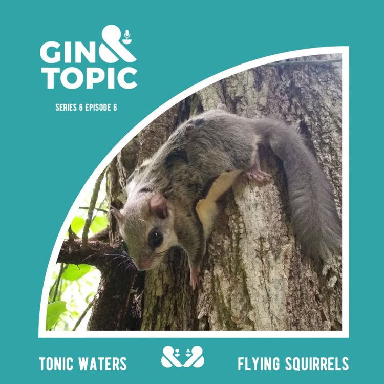 cover art for Tonic Waters & Flying Squirrels