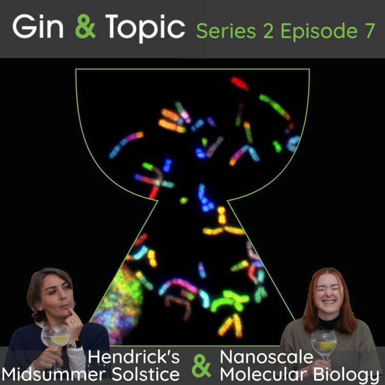 cover art for Hendrick's Midsummer Solstice & Nanoscale Molecular Machinery