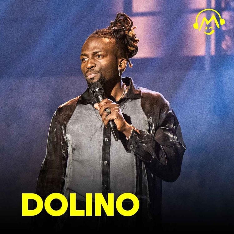 cover art for Dolino – Le sac abandonné dans le train