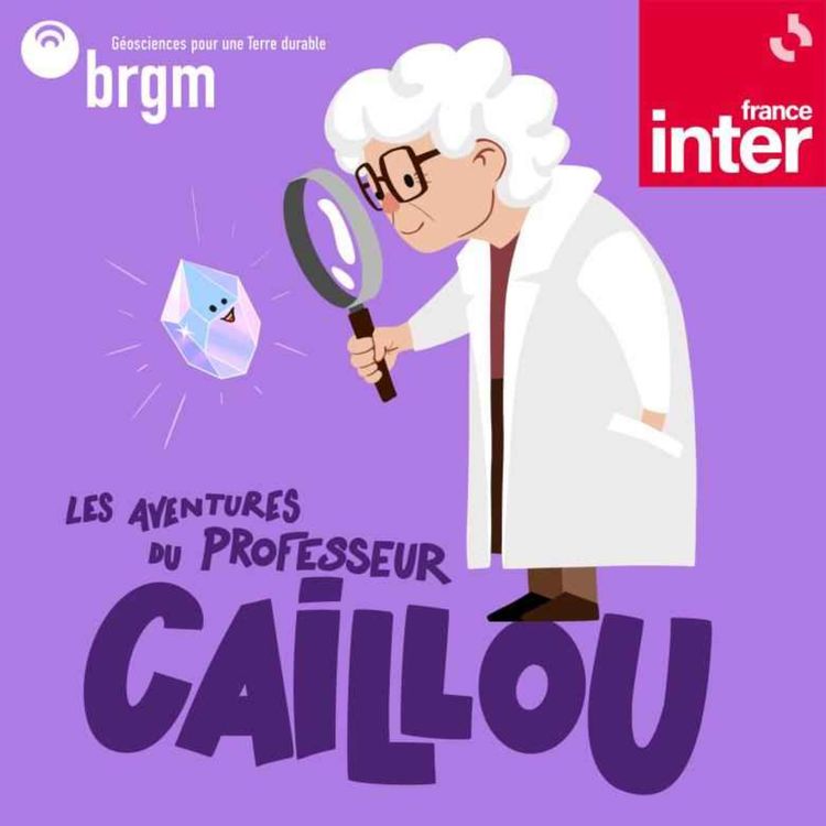 cover art for EXCLU : Le premier épisode de mon podcast France Inter : LES AVENTURES DU PROFESSEUR CAILLOU