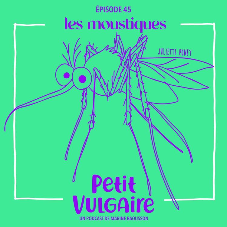 cover art for LES MOUSTIQUES