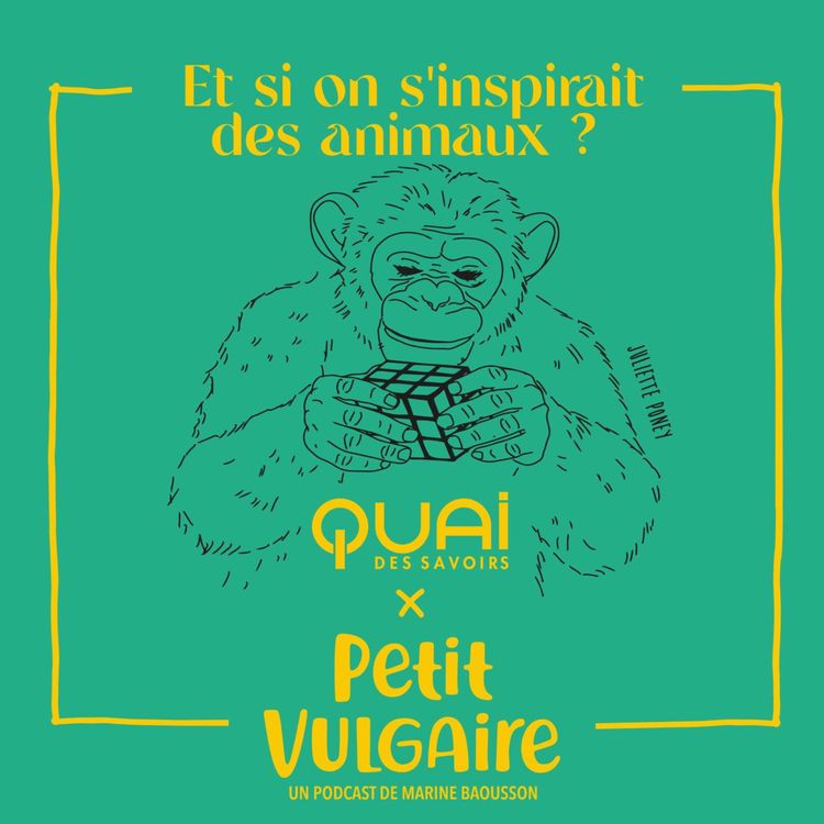 cover art for ET SI ON S'INSPIRAIT DES ANIMAUX