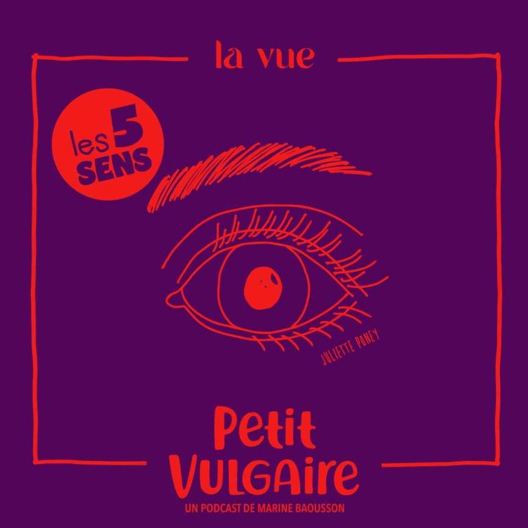 cover art for Les 5 sens : la vue