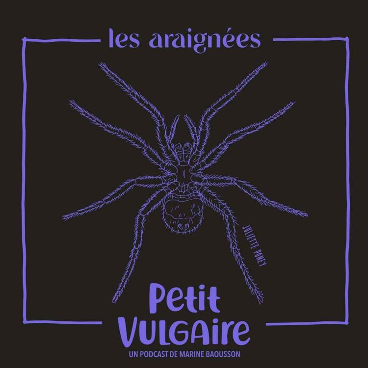 cover art for Les araignées