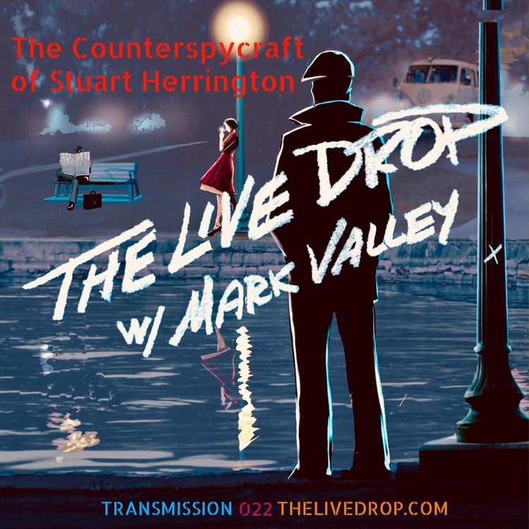 cover art for The Counterspycraft of Stuart Herrington from MACV-SOG in Vietnam to the US Army Foreign Counterintelligence Activity