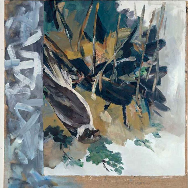 cover art for 5 - Inverting the Image