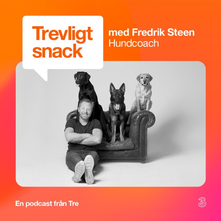 cover art for Fredrik Steen - Hundcoach