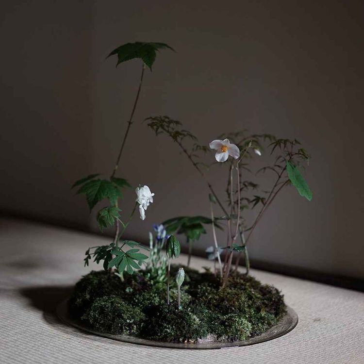 cover art for #147 Mitate