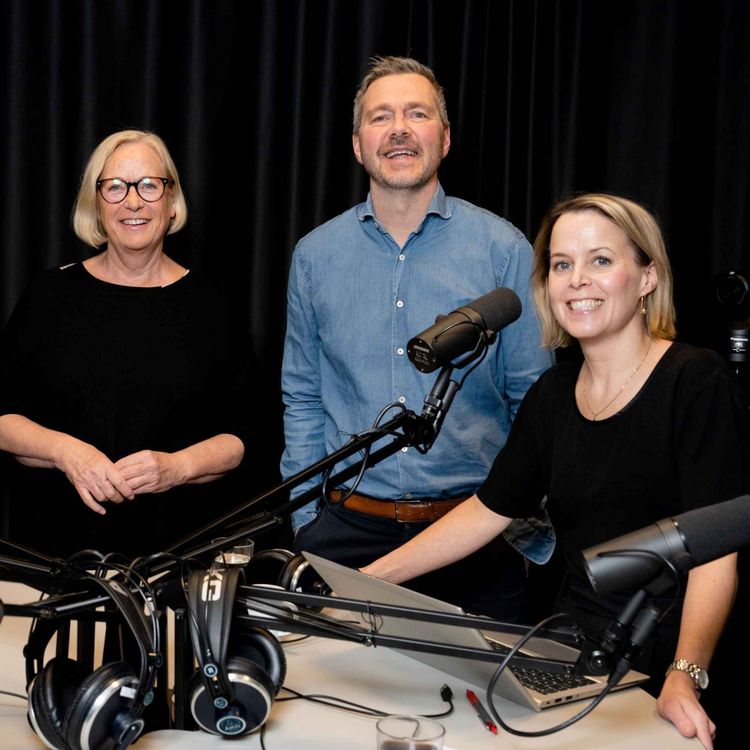 cover art for Sps ville fester, krisemålinger og Marit Arnstads tidkrevende hobby