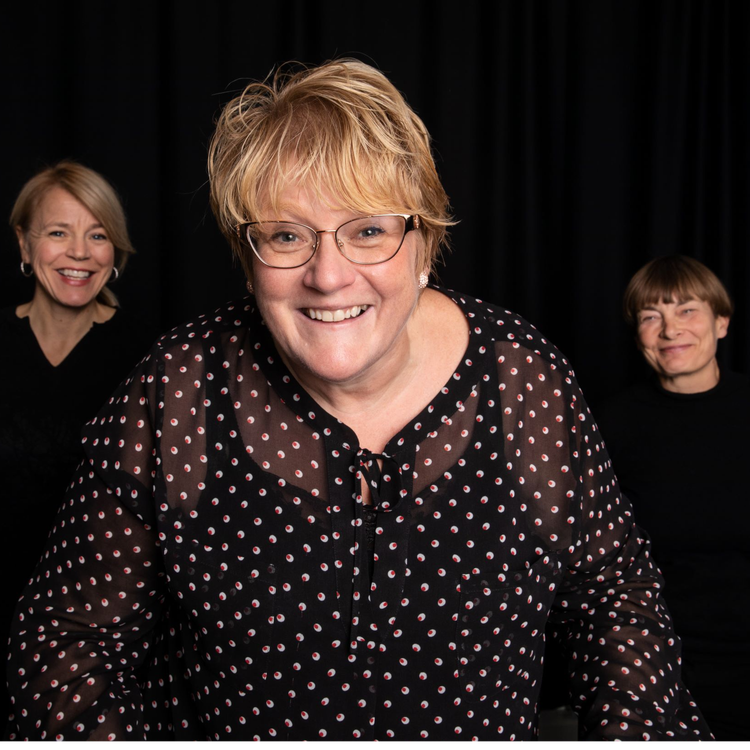 cover art for Trine Skei Grande om ny bok, Listhaug og utskjelling i Bertheussens venninnechat