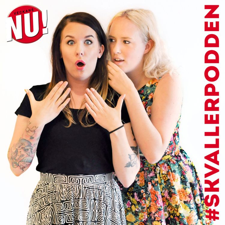 cover art for 22. Den stora frågepodden