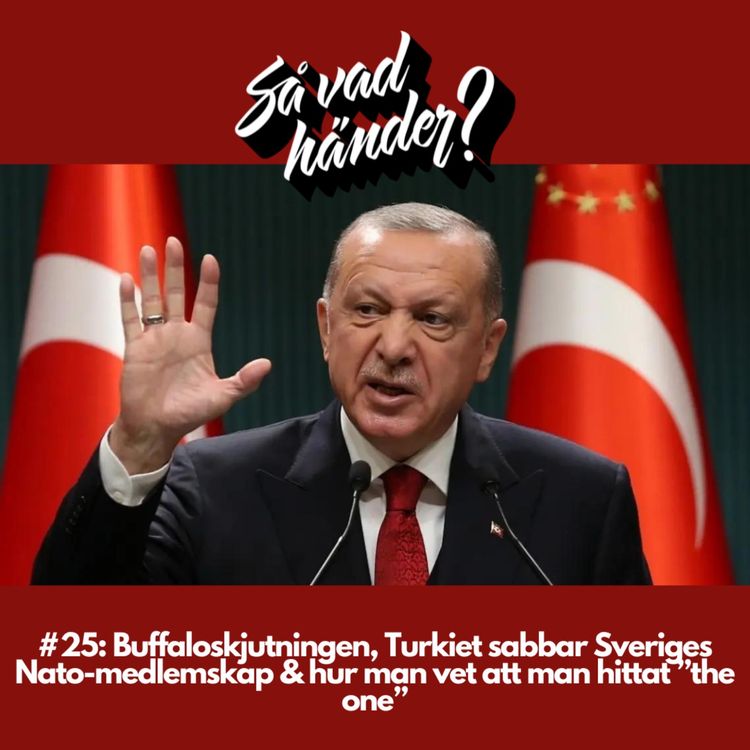 cover art for #25: Buffaloskjutningen, Turkiet sabbar Sveriges Nato-medlemskap & hur man vet att man hittat ”the one”