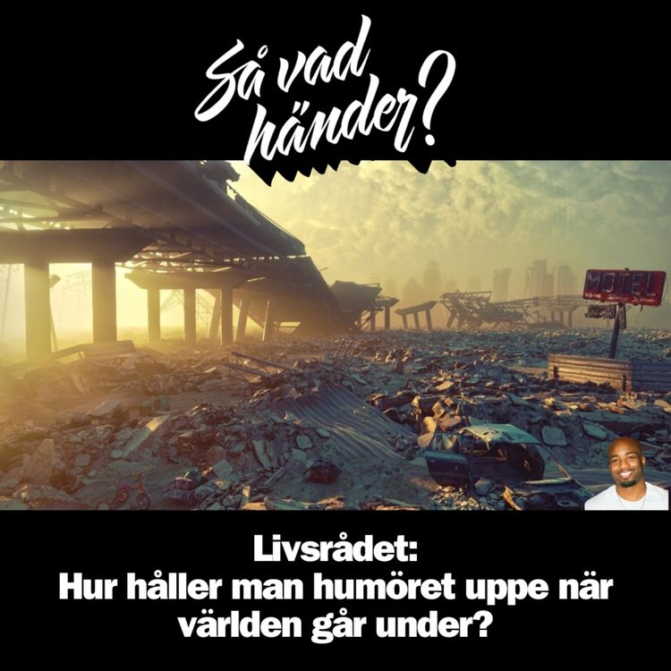 cover art for Livsrådet: Hur håller man humöret uppe när världen går under? (reklamfri!)