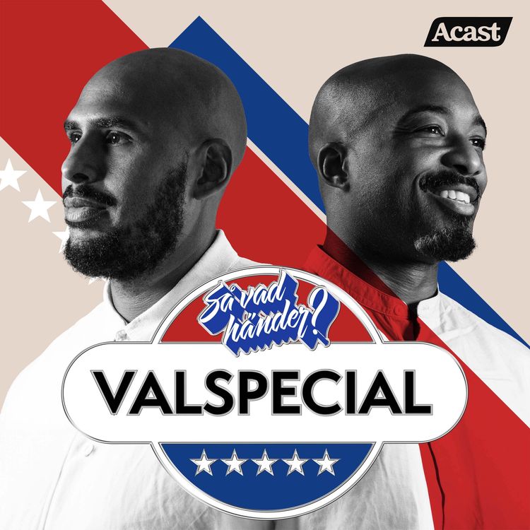 cover art for Valspecial: Hur funkar det amerikanska politiska systemet?