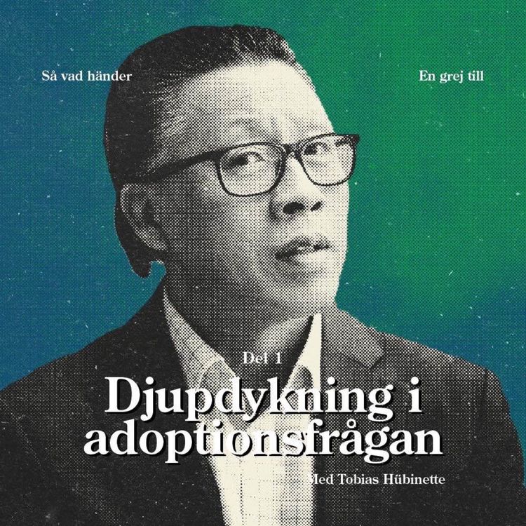 cover art for En grej till: Djupdykning i adoptionsfrågan, del 1 (med Tobias Hübinette)