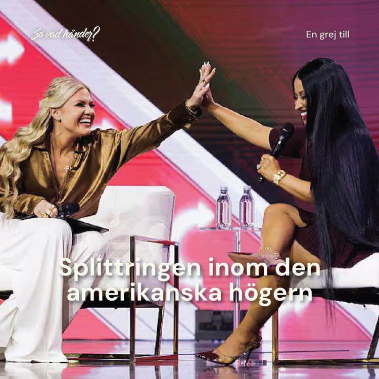 cover art for En grej till: Splittringen inom den amerikanska högern