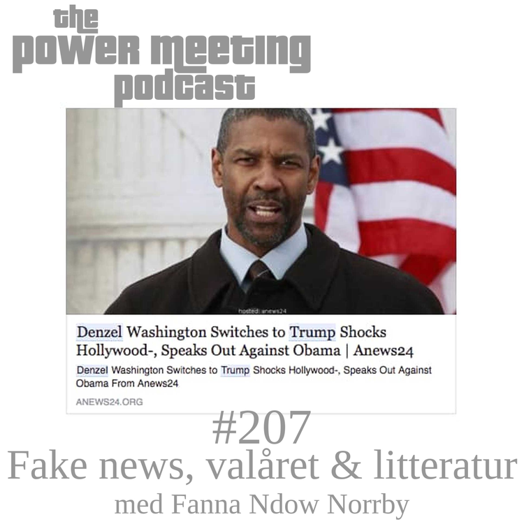 cover art for #207 – Fake News, valåret & litteratur med Fanna Ndow Norrby