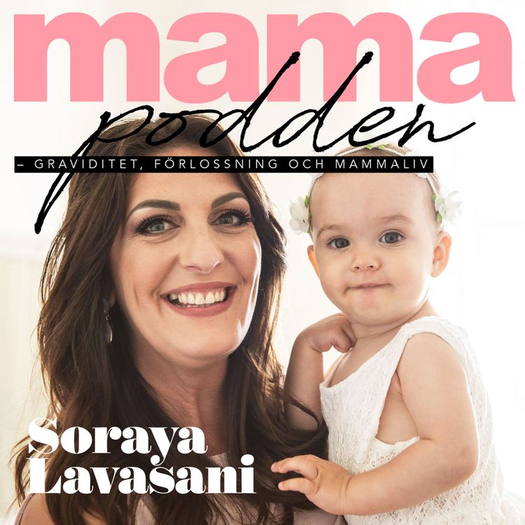 cover art for 24. Soraya Lavasani