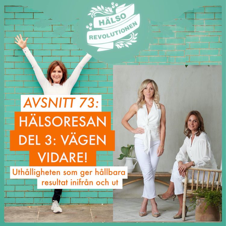 cover art for AVSNITT 73: HÄLSORESAN – DEL 3 – HITTA UTHÅLLIGHETEN OCH VÄGEN VIDARE!