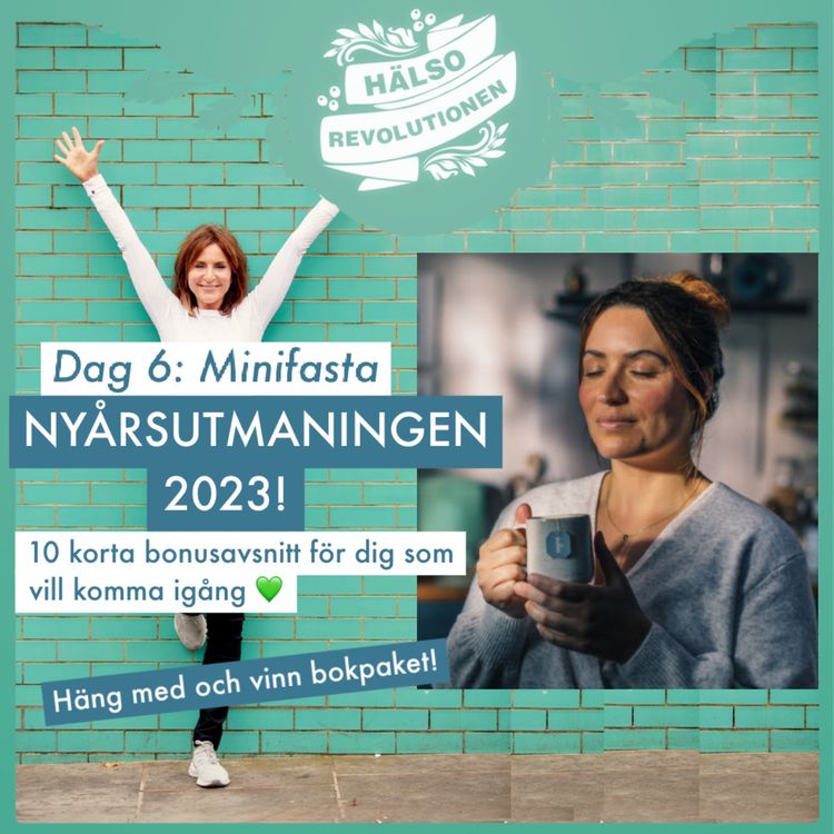 cover art for BONUS! NYÅRSUTMANINGEN 2023: DAG 6 – MINIFASTA