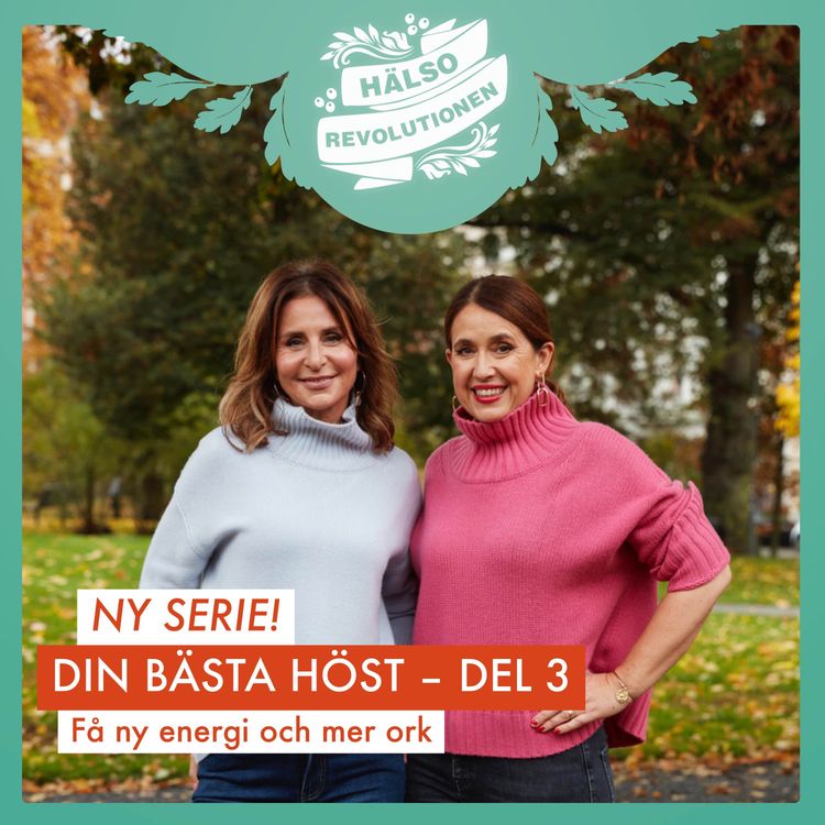 cover art for AVSNITT 166: DIN BÄSTA HÖST – DEL 3 – FÅ NY ENERGI OCH MER ORK!