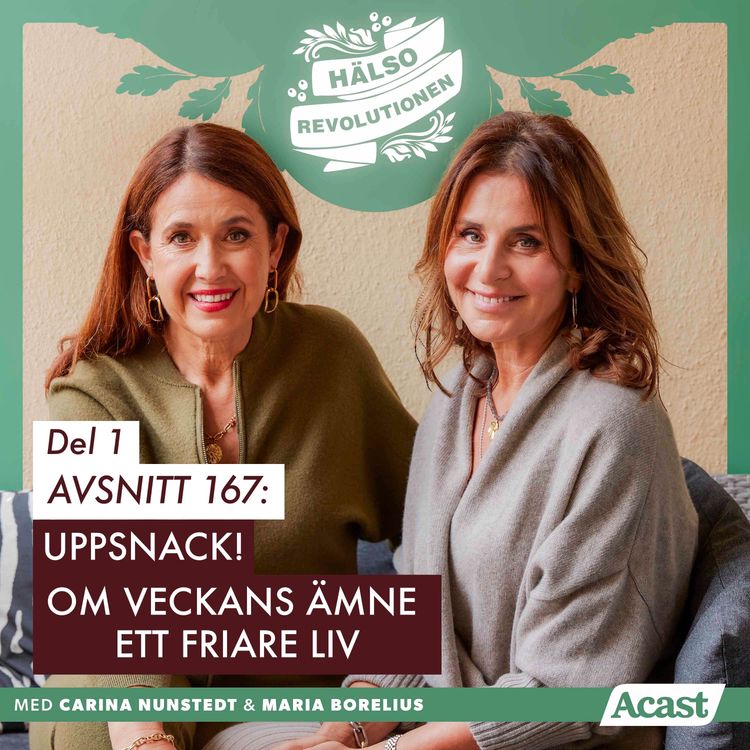 cover art for AVSNITT 167 – DEL 1 – UPPSNACK! ETT FRIARE LIV