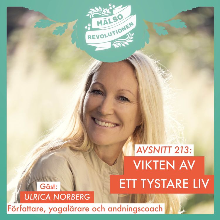 cover art for AVSNITT 213: TYSTNAD – HUR KAN VI MINSKA BRUSET?