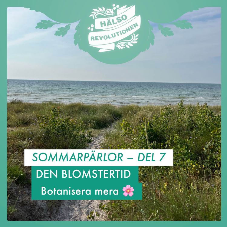 cover art for SOMMARPÄRLOR: DEL 7 – DEN BLOMSTERTID 🌸 Botanisera mera!