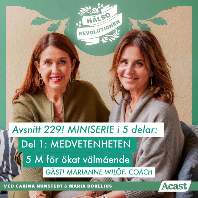 cover art for AVSNITT 229/HÖSTBOOST! MINISERIE – DEL 1: MEDVETENHET