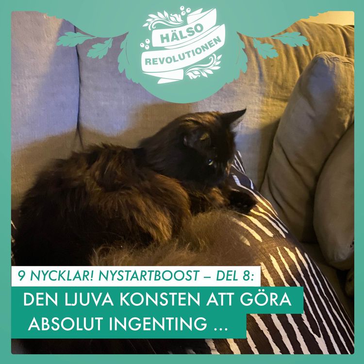 cover art for NYSTARTBOOST 2025/ 9 NYCKLAR – DEL 8: DEN LJUVA KONSTEN ATT GÖRA INGENTING