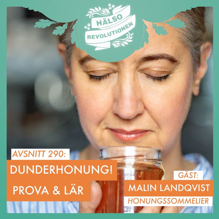 cover art for AVSNITT 290: DUNDERHONUNG! PROVA, SMAKA OCH LÄR AV BINA