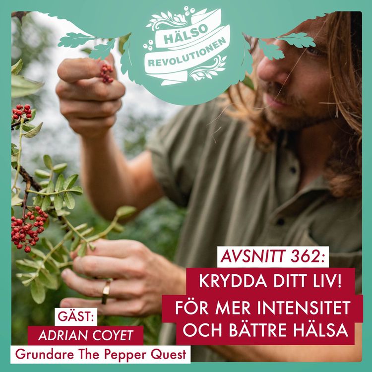 cover art for AVSNITT 362: KRYDDA DITT LIV – MER HÄLSOSAMT OCH INTENSIVT PÅ SAMMA GÅNG