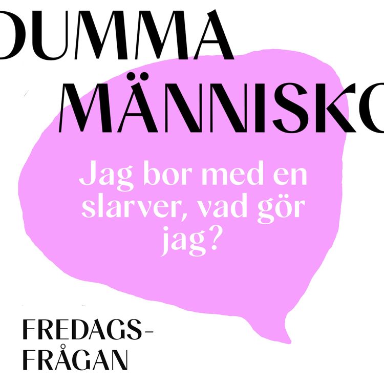 cover art for FREDAGSFRÅGAN: Jag bor med en slarver, vad gör jag?