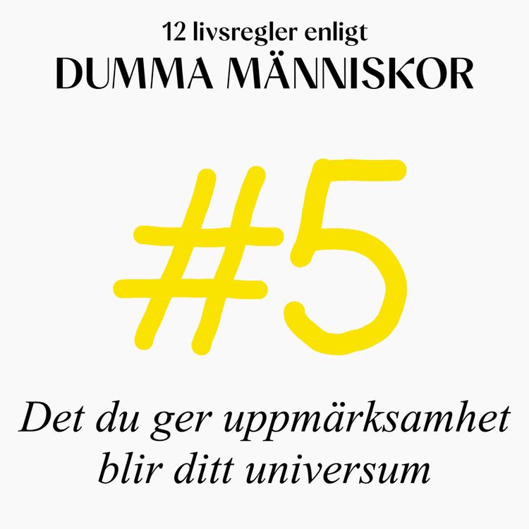 cover art for #5 Det du ger uppmärksamhet blir ditt universum (12 livsregler enligt Dumma Människor)