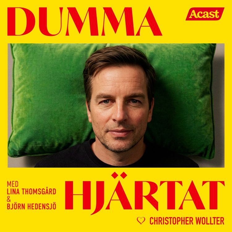 cover art for DUMMA HJÄRTAT med premiärgäst Christopher Wollter