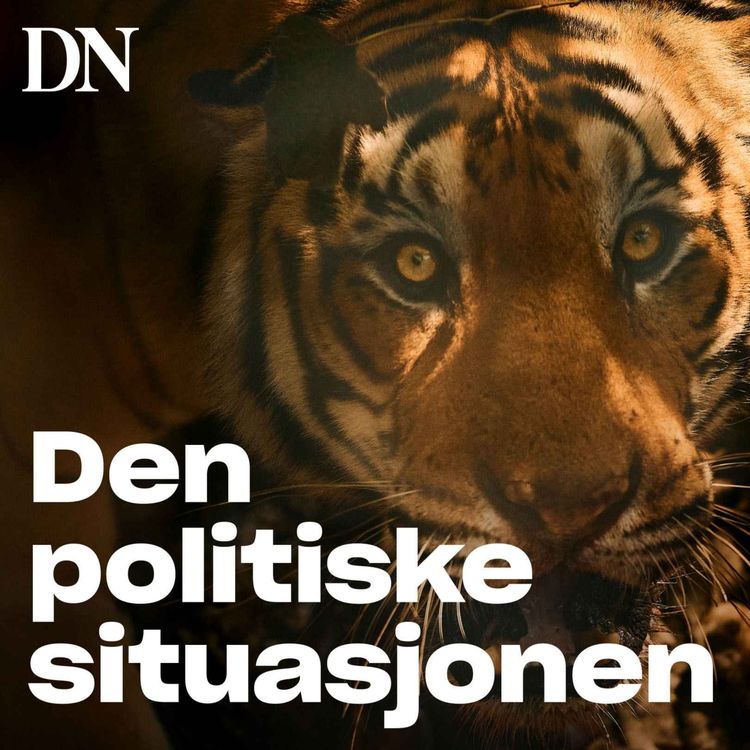 cover art for Julespesial - Kongetigeren