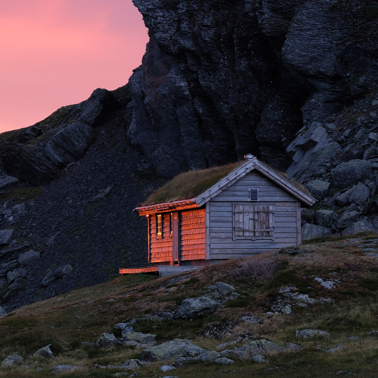 cover art for Fjellet er ope