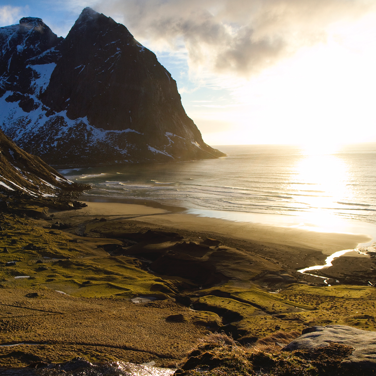 cover art for Lofoten