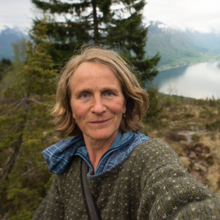 cover art for Skjulte perler