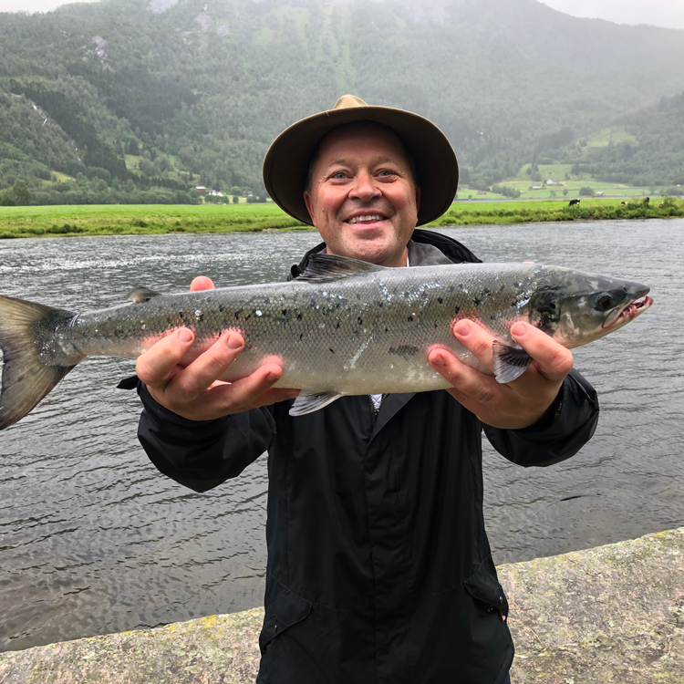 cover art for Turtips frå Arne Hjeltnes