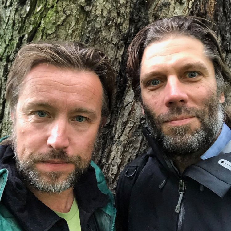 cover art for Harvest-gründerne