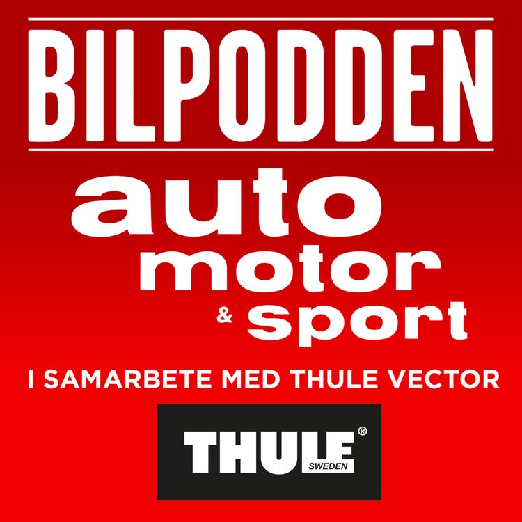 cover art for Avsnitt 24 – Raine Wermelin, direktör Porsche Sverige