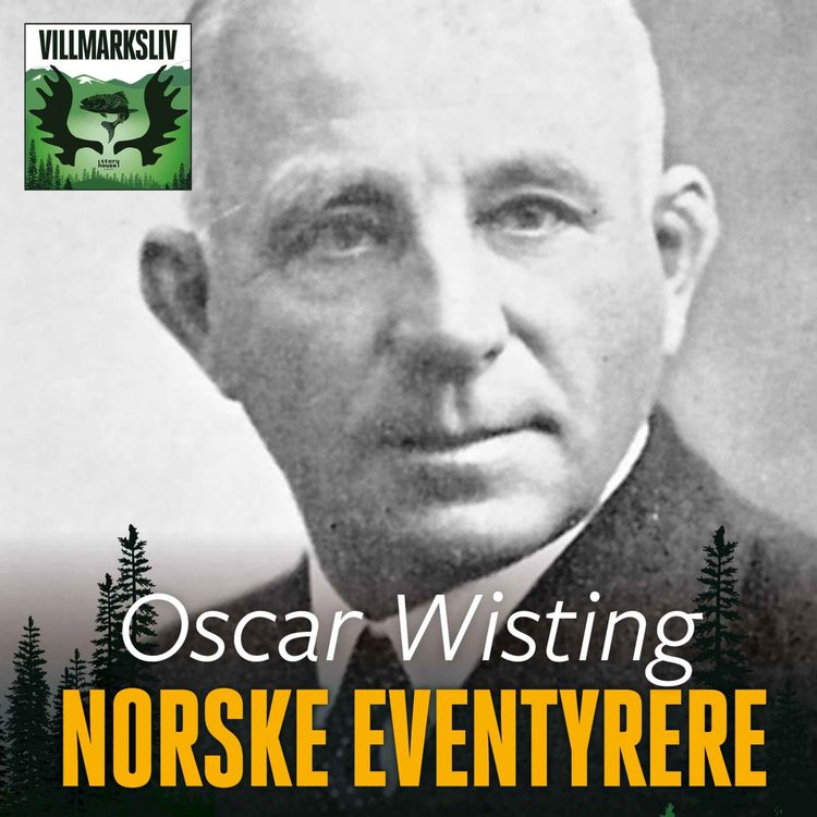 cover art for Oscar Wisting - Norske eventyrere